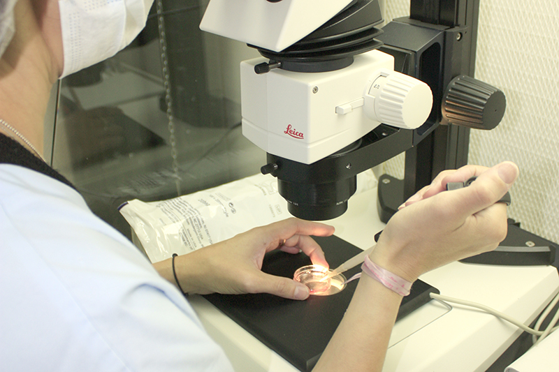 Un technicien au laboratoire 