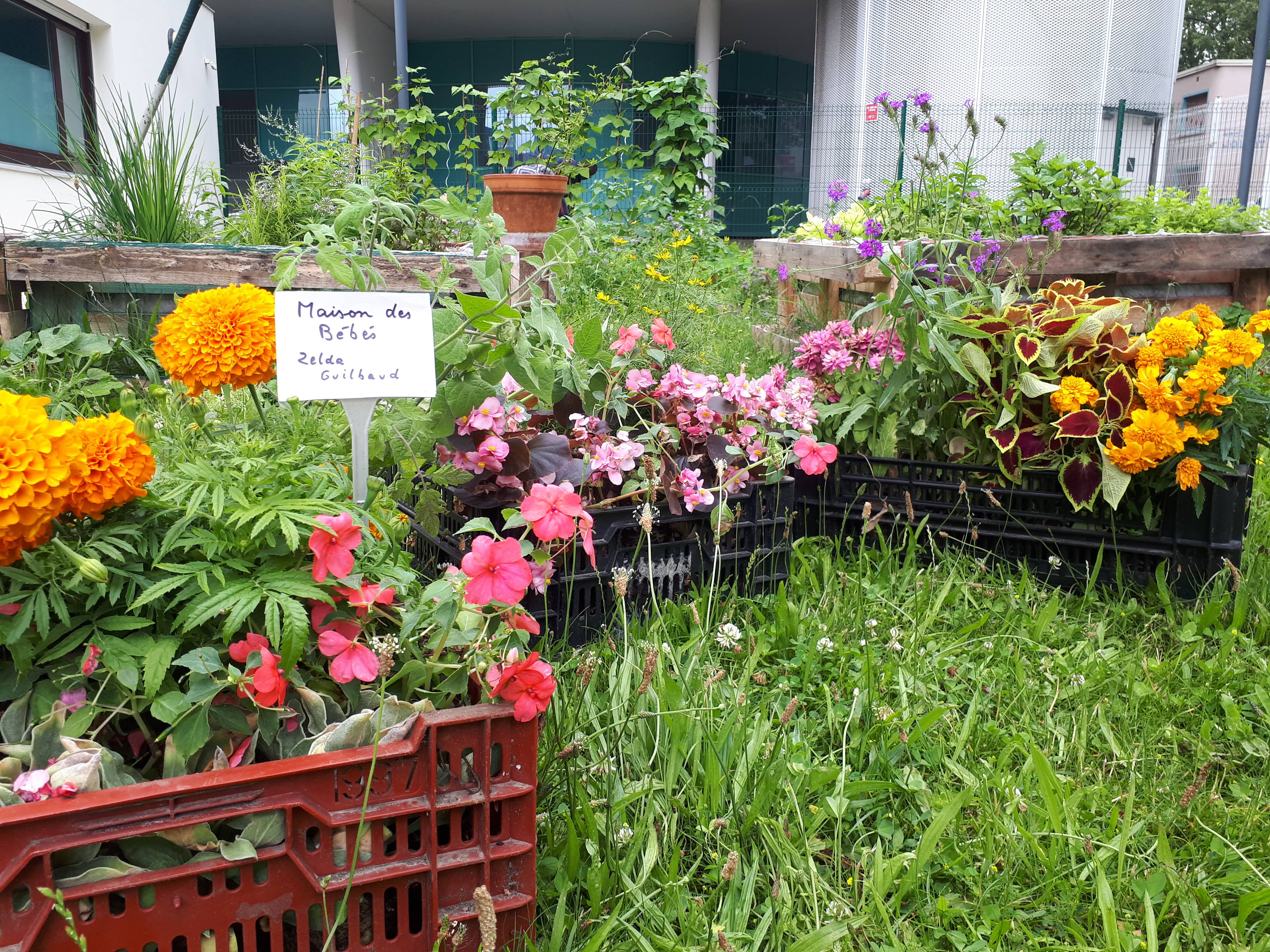 jardin thérapeutique