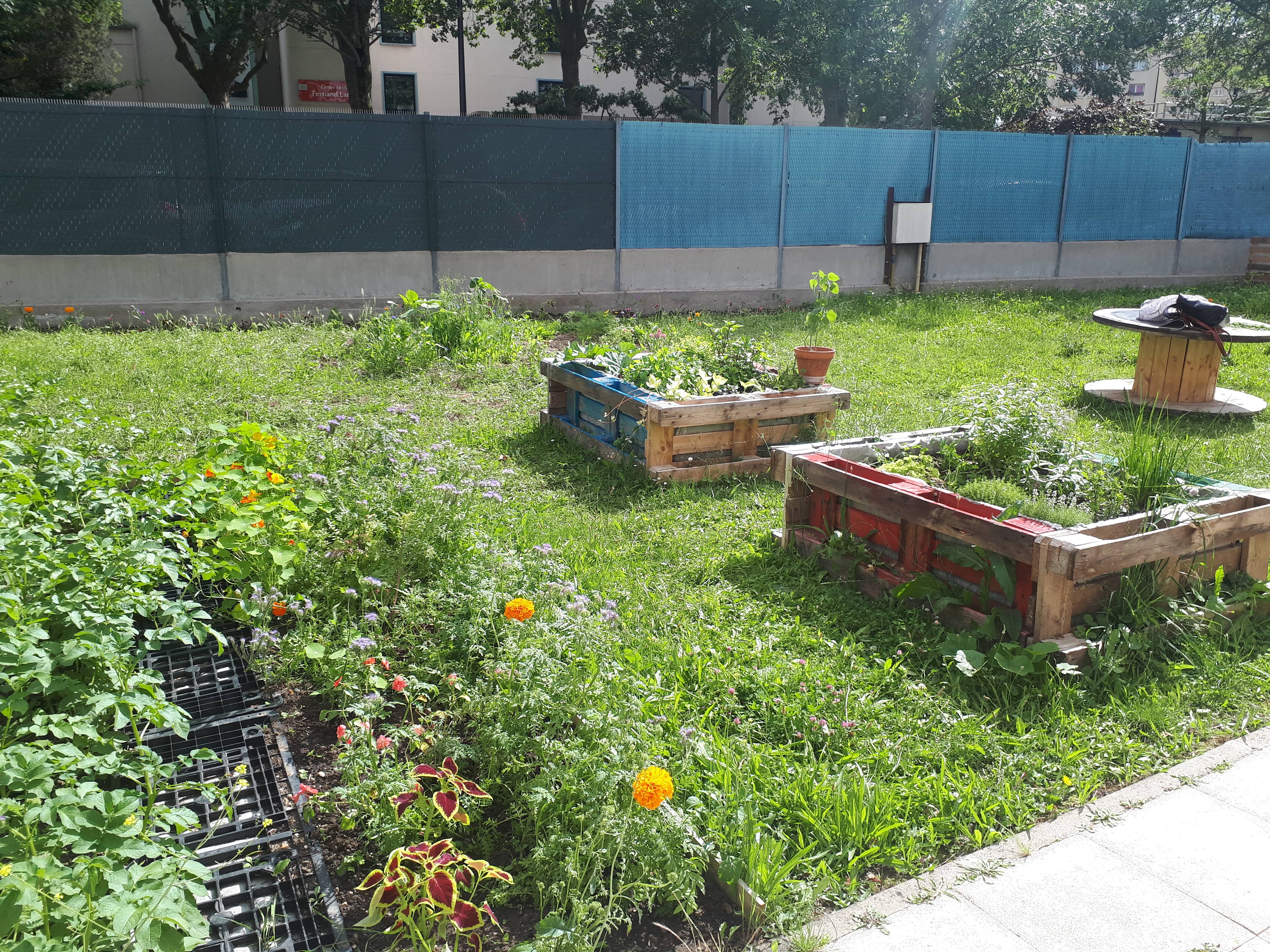 jardin thérapeutique 2