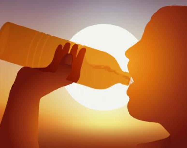 canicule