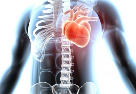 Cardiologie
