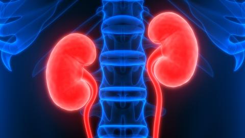 urologie